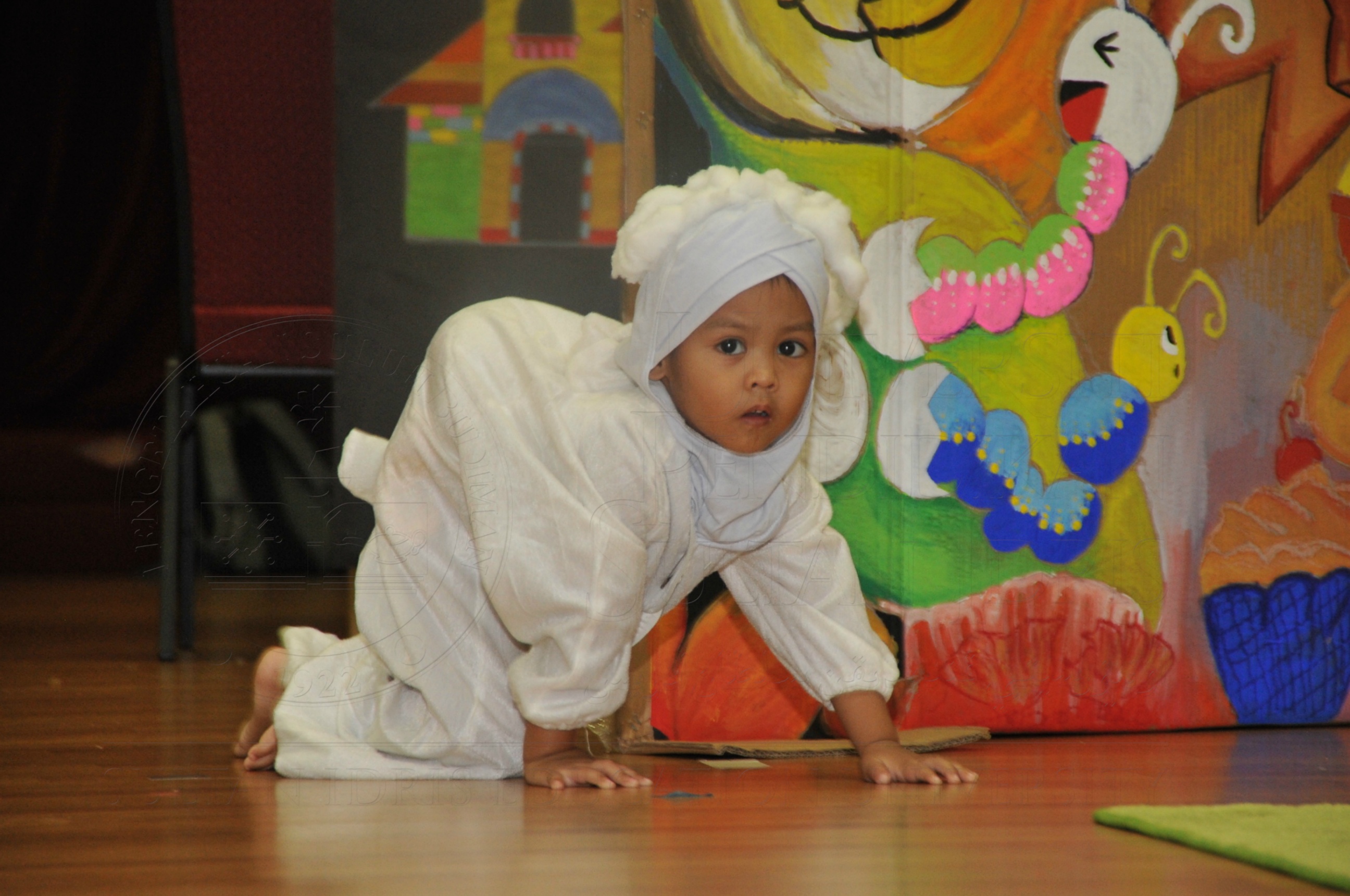 PRO15 163 KONVO HAS 0558